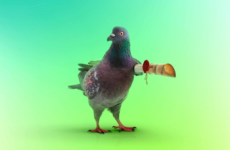 Telegram还是Signal更安全？